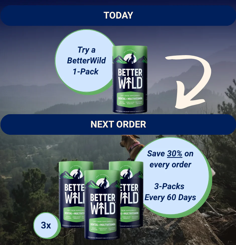 Dental - Upgrade to Quarterly on Next Order (1-Pack to 3-Pack 30%, 60 Days)